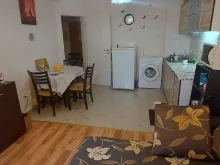 Miniaturka