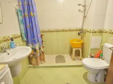 Miniaturka
