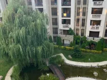 Вид из окна на парк