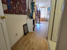 Miniaturka