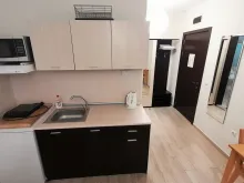 Miniaturka