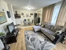 Miniaturka