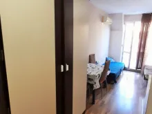 Miniaturka