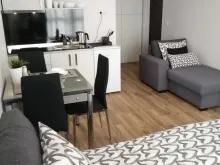 Miniaturka