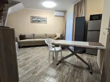 Miniaturka