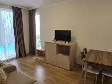 Miniaturka