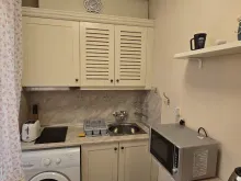 Miniaturka