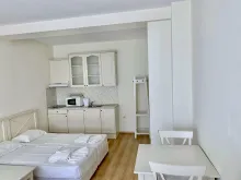 Miniaturka