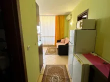 Miniaturka