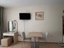 Miniaturka