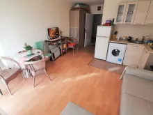 Miniaturka