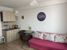 Miniaturka