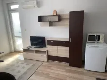 Miniaturka