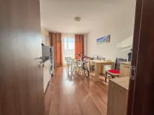 Miniaturka