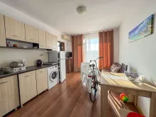 Miniaturka