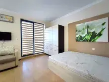 Miniaturka