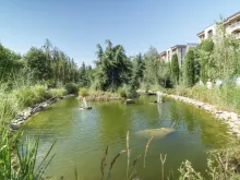 Комплекс, территория,