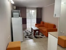 Miniaturka