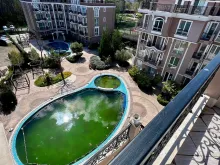 комплекс, территория, бассейн