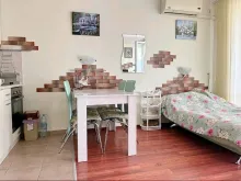 Miniaturka