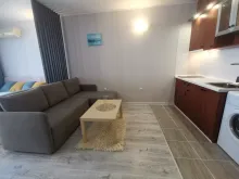 Miniaturka