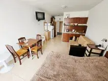 Miniaturka