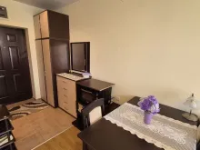 Miniaturka