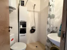 Miniaturka