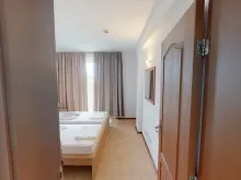 Miniaturka