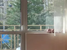 Miniaturka