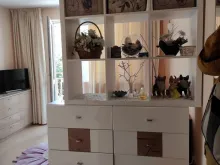 Miniaturka