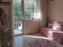 Miniaturka