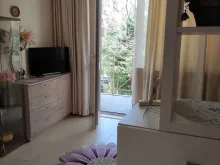 Miniaturka