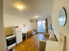 Miniaturka