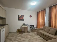Miniaturka