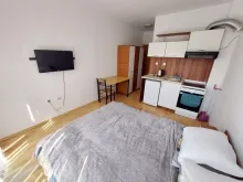 Miniaturka