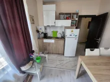 Miniaturka