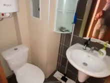 Miniaturka