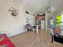 Miniaturka