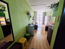 Miniaturka
