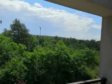 вид на лес из террасы