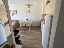 Miniaturka