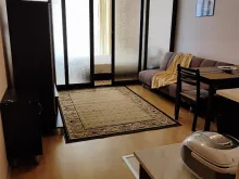 Miniaturka