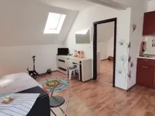 Miniaturka
