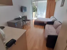 Miniaturka