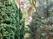 комплекс, территория