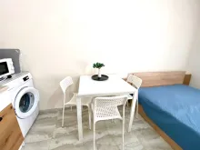 Miniaturka