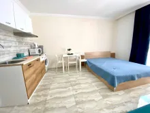 Miniaturka