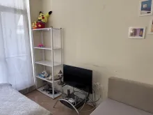 Miniaturka
