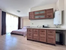 Miniaturka